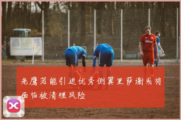 老鹰若能引进优秀侧翼里萨谢或将面临被清理风险